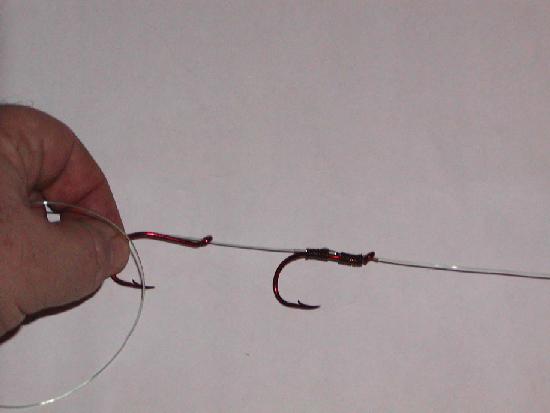 how to tie a mooching rig